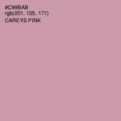 #C99BAB - Careys Pink Color Image